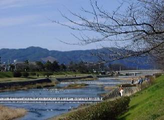 ��ΐ�̌������ɏM�`