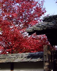 �������̍g�t