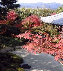 �������̍g�t