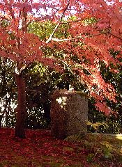 �������̍g�t