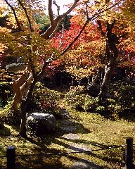 �������̍g�t