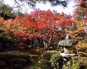 �������̍g�t