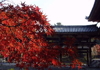 �����@�̍g�t