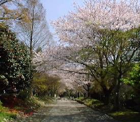 ��̐X�̎Q��