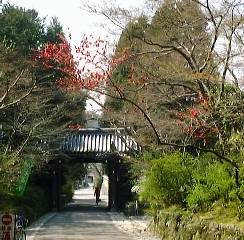 �ԎR�T�@�̎R��