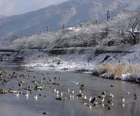 �����J�����Ɗ�